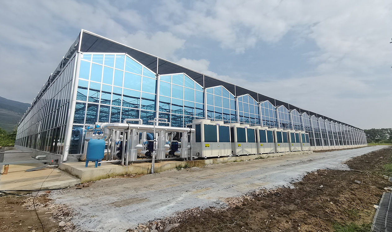 080548226.jpg 微信圖片_20231212100817.jpg